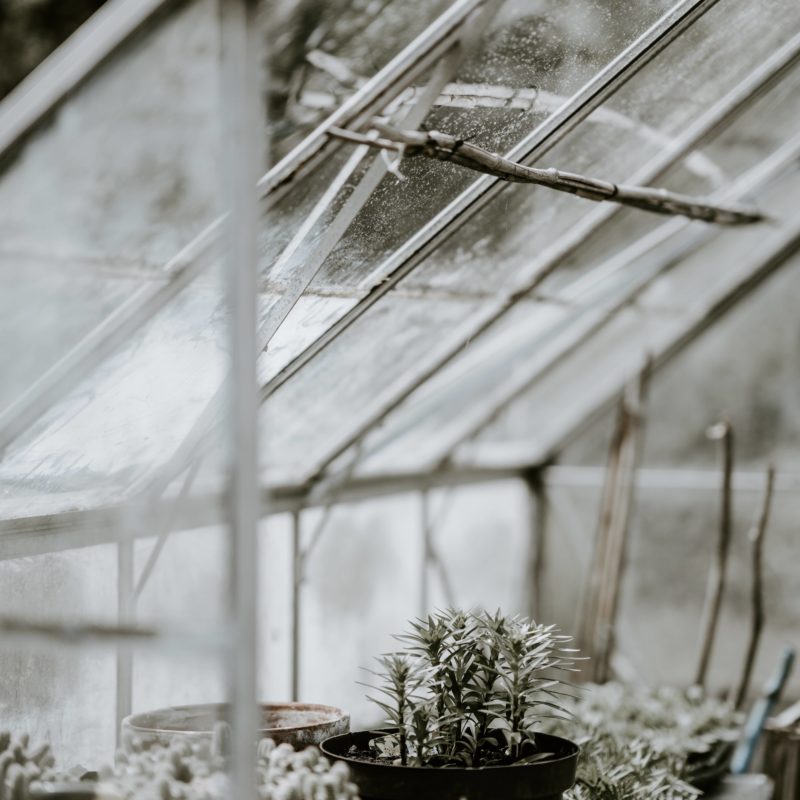 Dizajn i održavanje