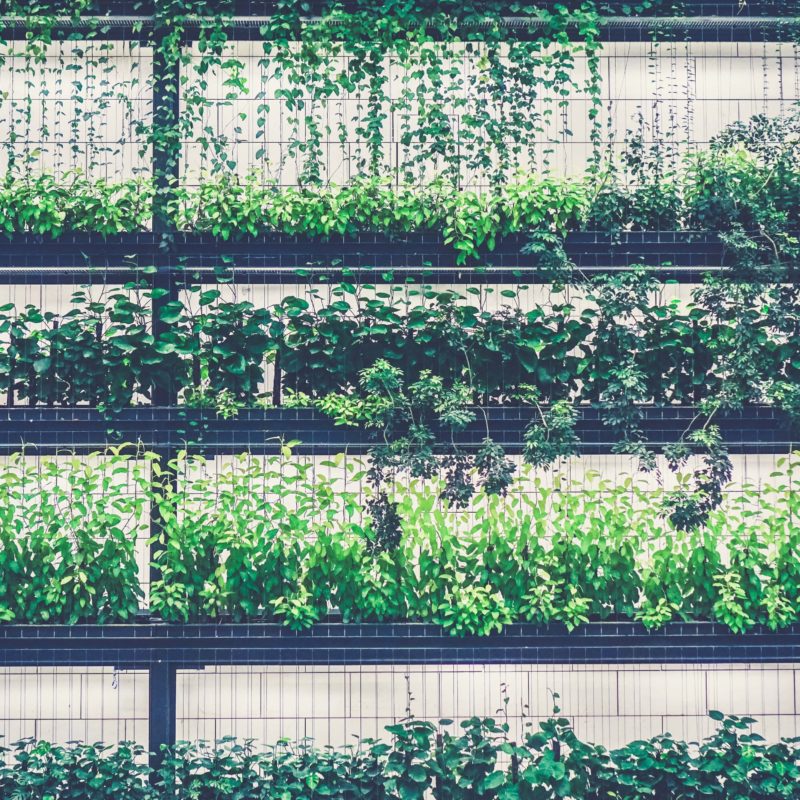 Prodaja sadnog materijala