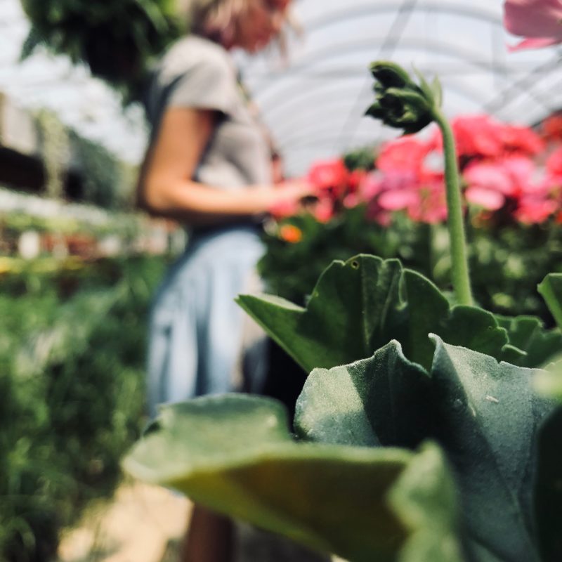 Inovacije /Smart Green